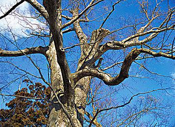 《邪恶铭刻》发行商加盟！模拟检疫丧尸游戏《边境丧尸检察官》Steam预约超百万